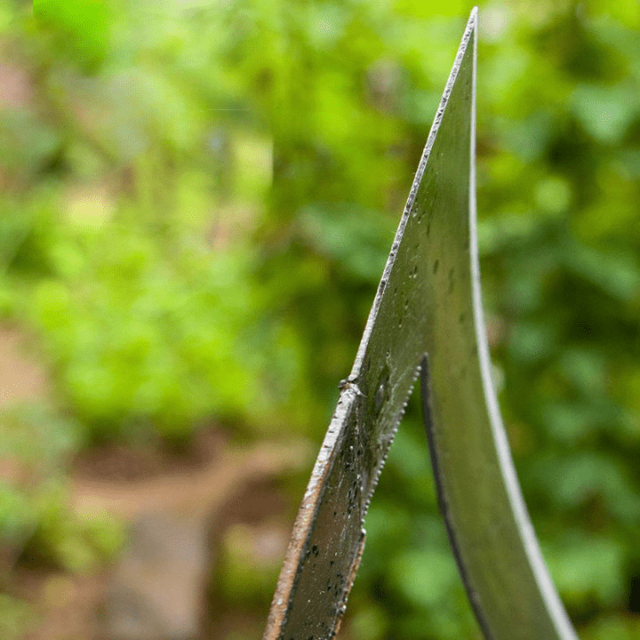Premium-Gartenscheren – Ein perfekter Garten im Handumdrehen!